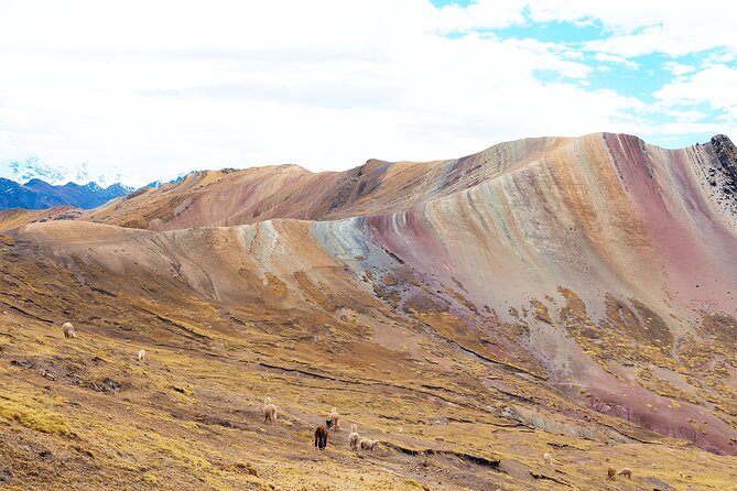 Palccoyo Rainbow Mountain Full Day Tour from Cusco - Meals, altitude support, and what to do if you struggle