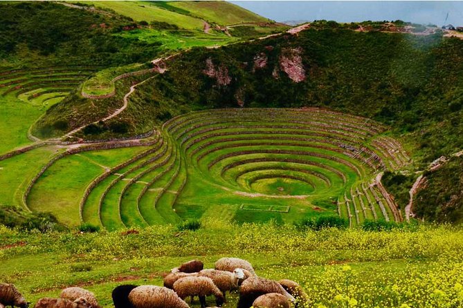 Private Tour Sacred Valley, Chinchero, Maras Moray, Ollantaytambo - Moray terraces and Maras salt pans: agricultural science meets salt