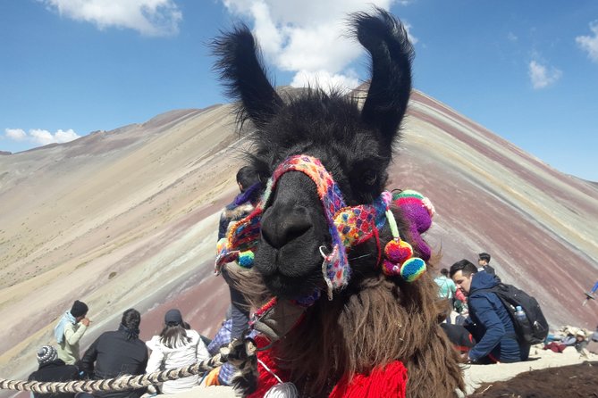 Rainbow Mountain Tour Vinicunca (Full Day) - Small-group travel from Cusco: comfort and control