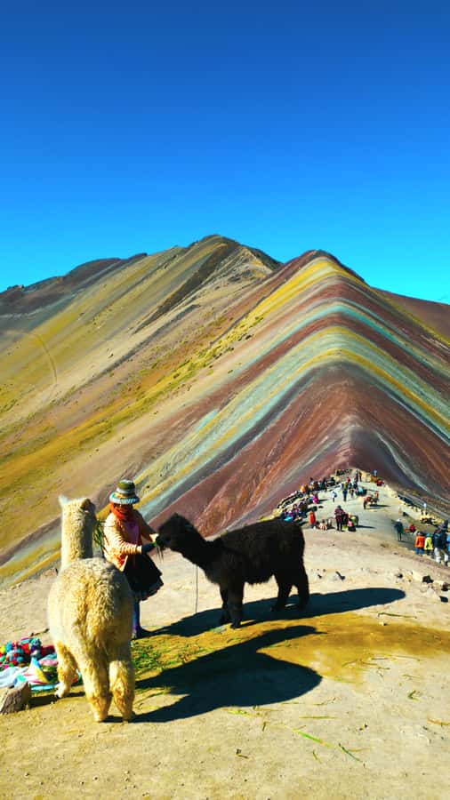 rainbown mountain Vinicunca 1 day - The walk to Vinicunca: where pace beats speed