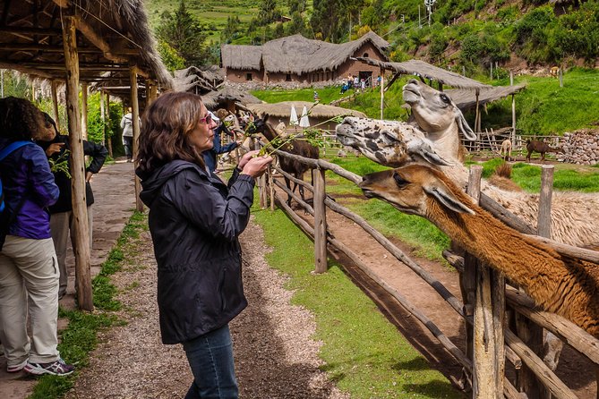 Sacred Valley and Machu Picchu Tour in 2 days with Peru Vip - Train to Aguas Calientes: built-in rest, plus a scenic payoff