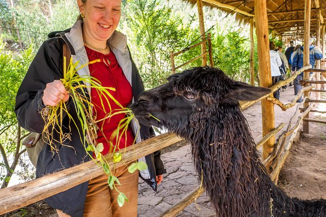 Sacred Valley and Machu Picchu Tour in 2 days with Peru Vip - Afternoon-on-site energy: free time after the guided tour