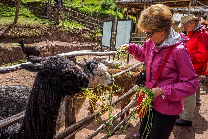 Sacred Valley and Machu Picchu Tour in 2 days with Peru Vip - Price and value: what you’re really paying for at $491.29
