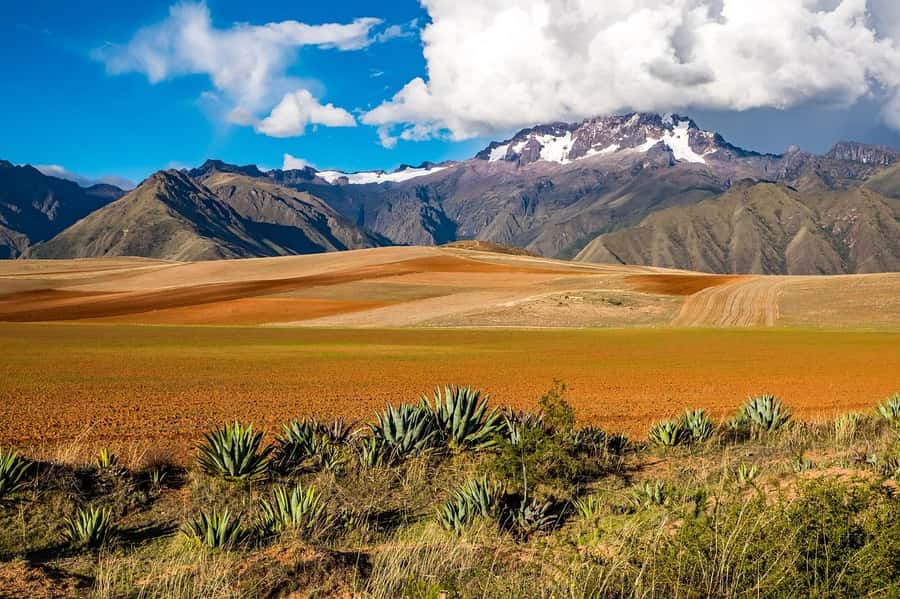 Sacred Valley: Chinchero, Moray, Ollantaytambo & Pisac+Lunch - Pisac: ruins on the mountain edge and an artisan market stop