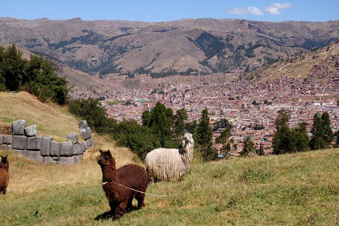 Sacsayhuaman Temple, Tambomachay and Puca Pucara Half-Day Tour - Price and Value: What $69 Buys You (and What It Doesn’t)