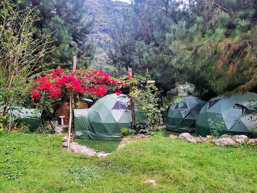 Salkantay Trek to Machu Picchu 5D/4N or 4D/3N by glamping - Day 5: Machu Picchu guide first, then your mountain hike choices