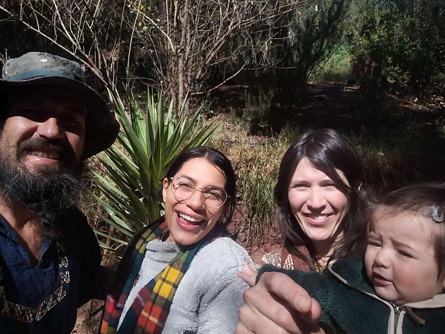 San Pedro Wachuma Ceremony in Cusco - Espiritual Tour - What actually happens during the San Pedro Wachuma ceremony