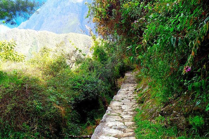 Small Group: 4-Day Inca Trail Trek to Machu Picchu - Day 3: Runkurakay and Sayacmarca ruins, then cloud forest to Wiñayhuayna