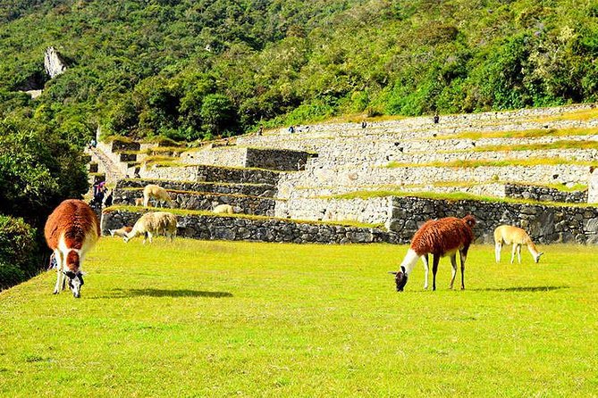 Small Group: 4-Day Inca Trail Trek to Machu Picchu - Camp comfort on the Inca Trail: tents, hot water, oxygen, and your packing list