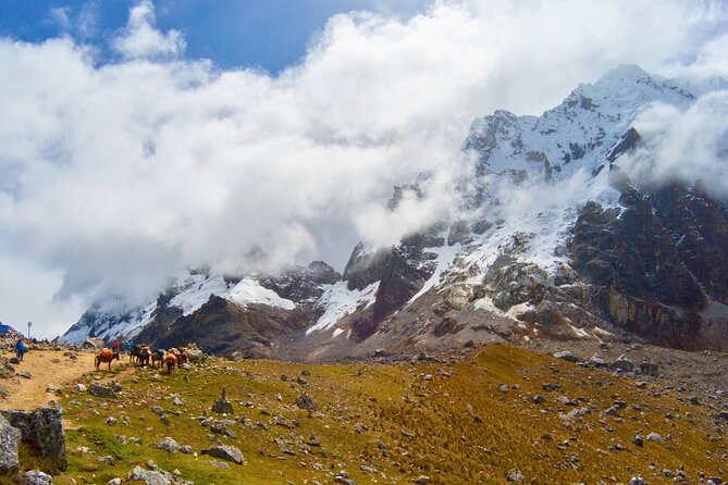 Small Group 5 Days Salkantay and Machu Picchu by Llactapata Tour - Collpapampa to Lucmabamba: Forest Walks, Orchids, and Coffee That Actually Has a Story