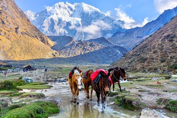 Small Group 5 Days Salkantay and Machu Picchu by Llactapata Tour - Machu Picchu at First Light on Day 5: Guided Ruins and a Smooth Train Exit