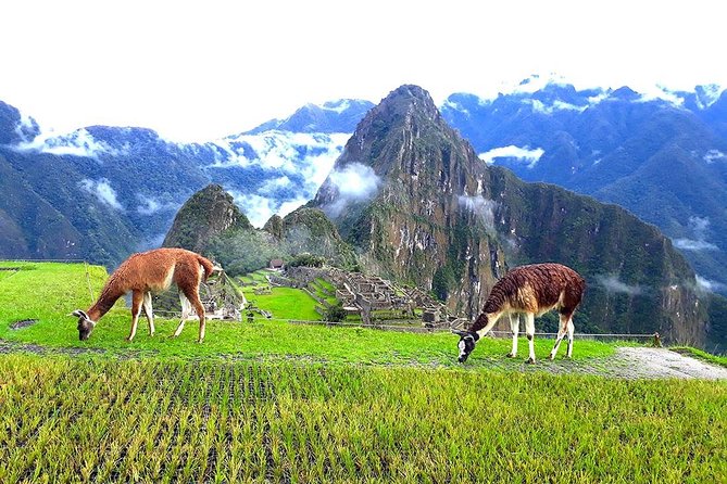 Small-Group Day Tour to Machu Picchu - Getting from Aguas Calientes up to Machu Picchu by bus