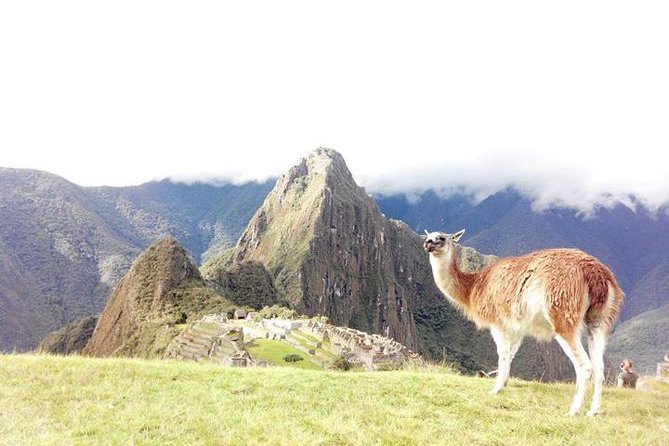 Small-Group Day Tour to Machu Picchu - The Urubamba River train ride to Aguas Calientes is more than transport
