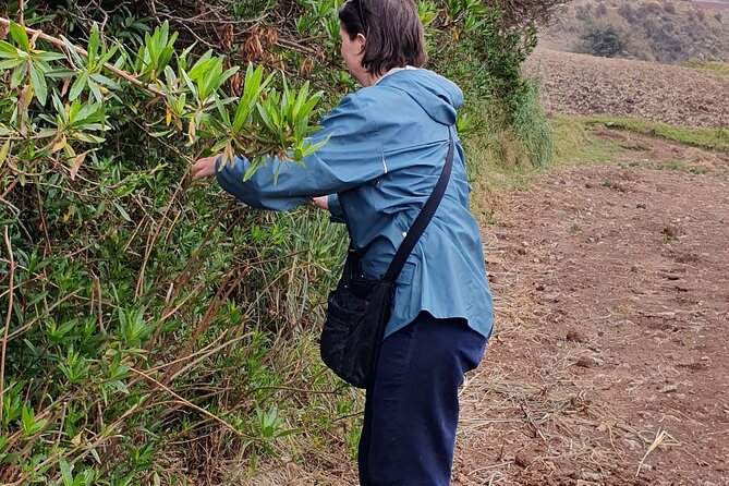 The Textile Workshop Experience in Cusco Region - Lunch in the Andes: included, filling, and timed for a 4-hour day