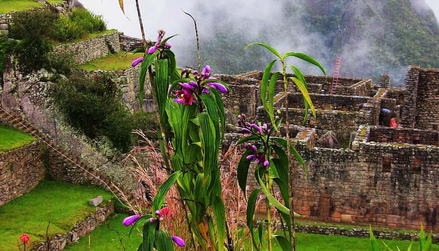 Tour Machu Picchu + Mountain of Huayna Picchu 2 days - Day 1 hotel night: why staying in town is the smart move