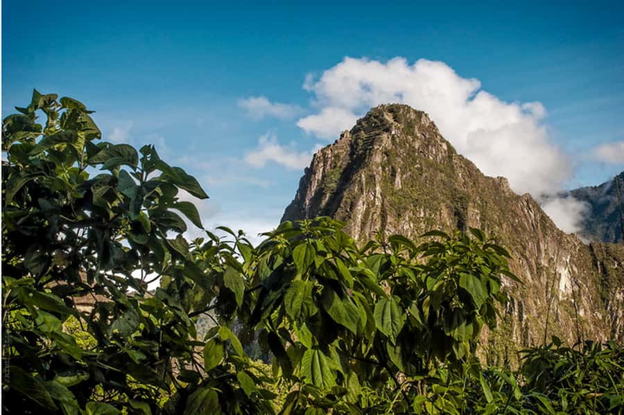 Tour Machu Picchu + Mountain of Huayna Picchu 2 days - Who this tour suits best (and who should skip it)