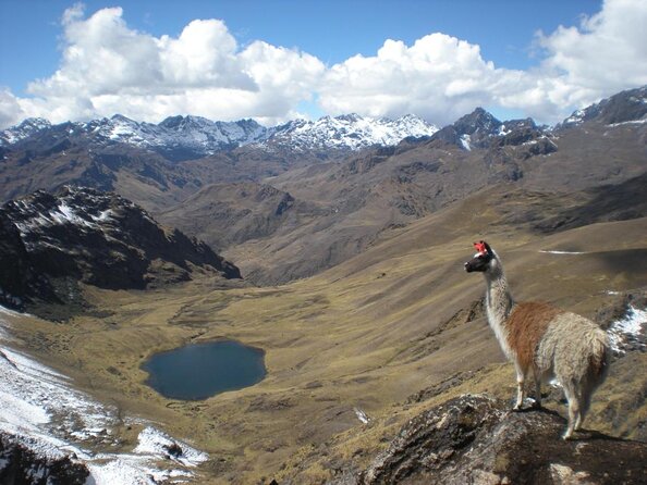 Ultimate Lares Trek & Inca Trail 5 days - Lares Trek + Machu Picchu: the key reasons this itinerary wins