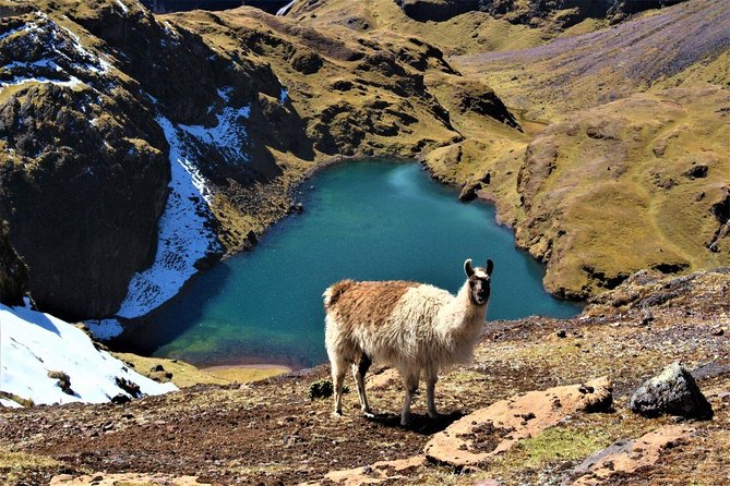 Ultimate Lares Trek & Inca Trail 5 days - Day 4 Train to km 104, Chachabamba ruins, Wiñay Huayna, and your first Machu Picchu view