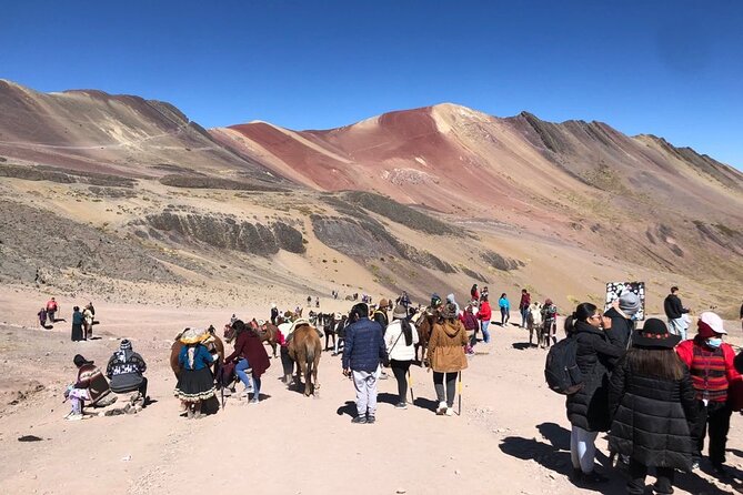 Vinicunca Rainbow Mountain Full-Day Tour from Cusco - Price and what you’re really paying for ($99)