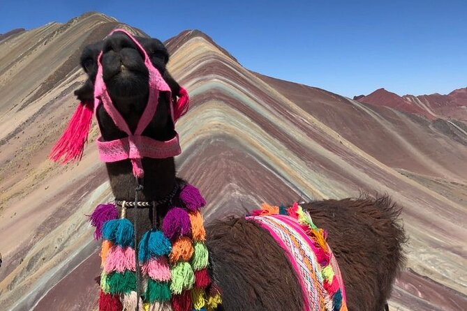 Vinicunca Rainbow Mountain Full-Day Tour from Cusco - Cusco to Cusipata: the breakfast stop that sets you up