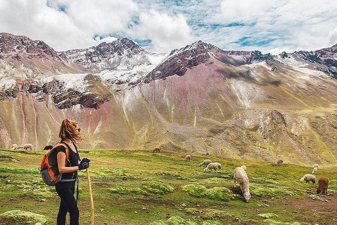Vinicunca Rainbow Mountain in one day, private with Peru Vip - Meals on a long day: breakfast box and box lunch